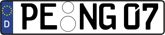 PE-NG07