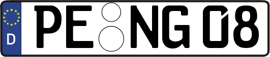 PE-NG08