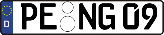 PE-NG09