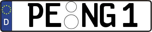 PE-NG1