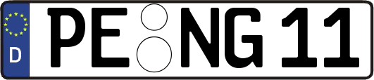 PE-NG11