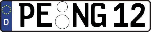 PE-NG12