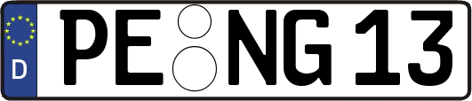 PE-NG13