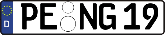 PE-NG19