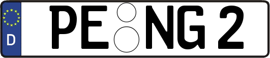 PE-NG2