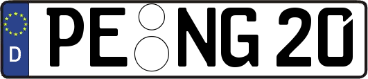 PE-NG20
