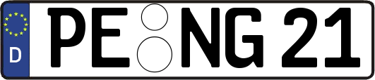 PE-NG21