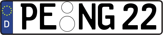 PE-NG22