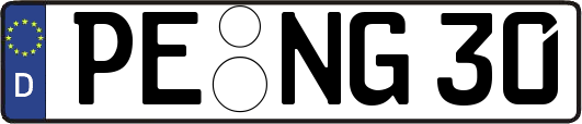 PE-NG30