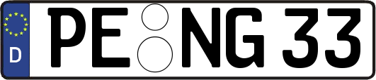 PE-NG33