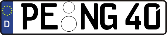 PE-NG40