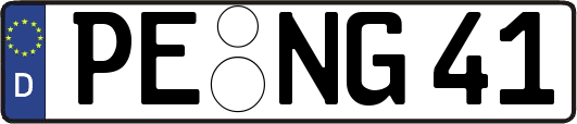 PE-NG41