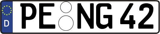 PE-NG42