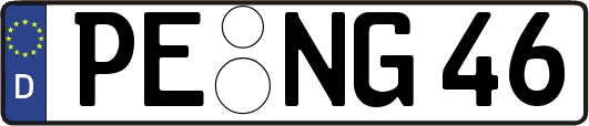 PE-NG46