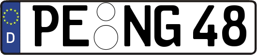 PE-NG48