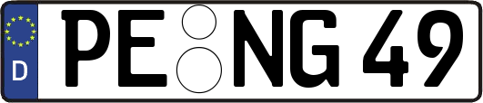 PE-NG49