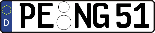 PE-NG51