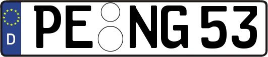 PE-NG53