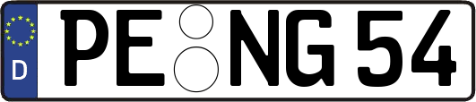 PE-NG54