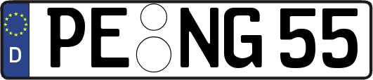 PE-NG55