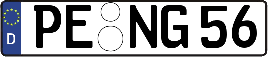 PE-NG56