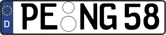 PE-NG58