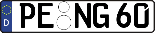 PE-NG60