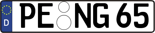 PE-NG65