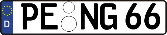 PE-NG66