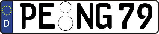 PE-NG79