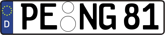 PE-NG81