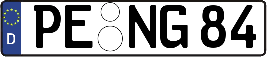 PE-NG84
