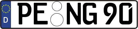 PE-NG90