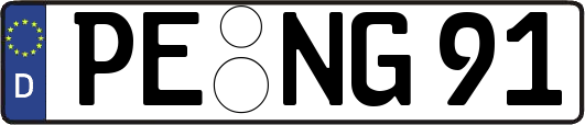 PE-NG91