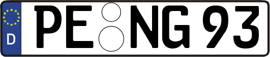 PE-NG93