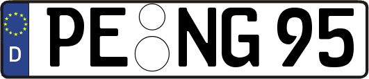 PE-NG95