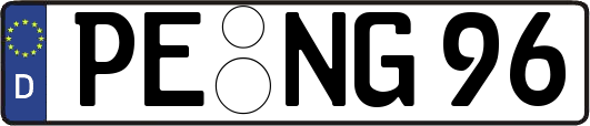 PE-NG96