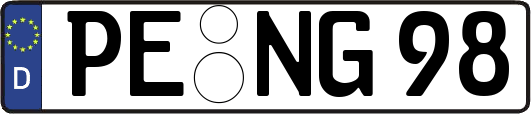 PE-NG98