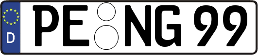 PE-NG99