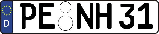 PE-NH31