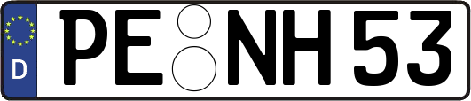 PE-NH53