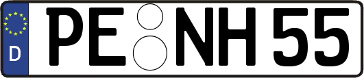 PE-NH55