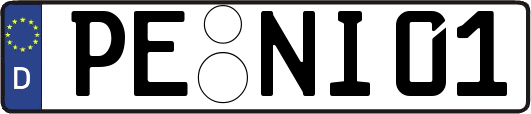 PE-NI01