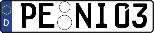 PE-NI03