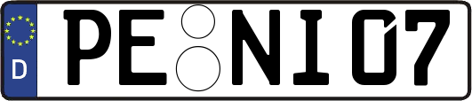 PE-NI07