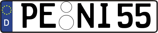 PE-NI55