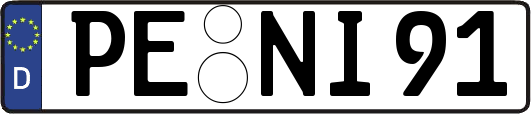 PE-NI91
