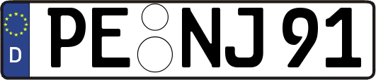 PE-NJ91