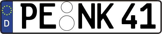 PE-NK41
