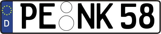 PE-NK58